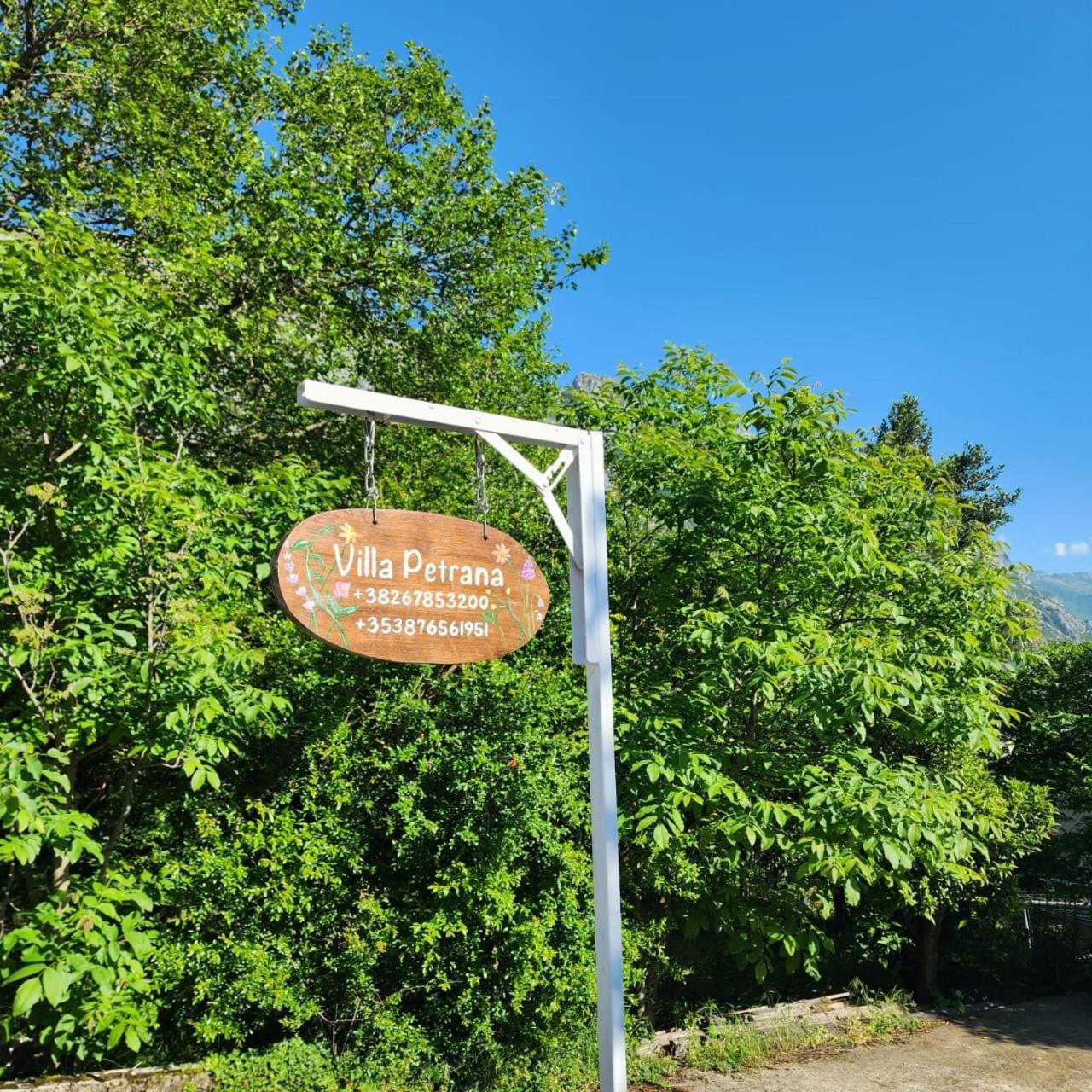 Villa Petrana Κότορ Εξωτερικό φωτογραφία